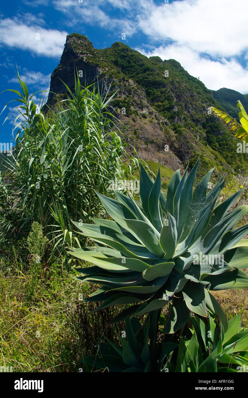 Punta Delgada Detail of the coastline Stock Photo - Alamy