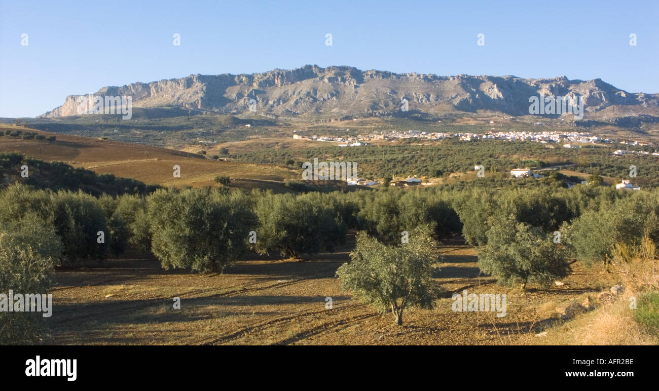 Villanueva de la Concepcion with El Torcal national park limestone plateau  in background Andalucia Spain Stock Photo - Alamy