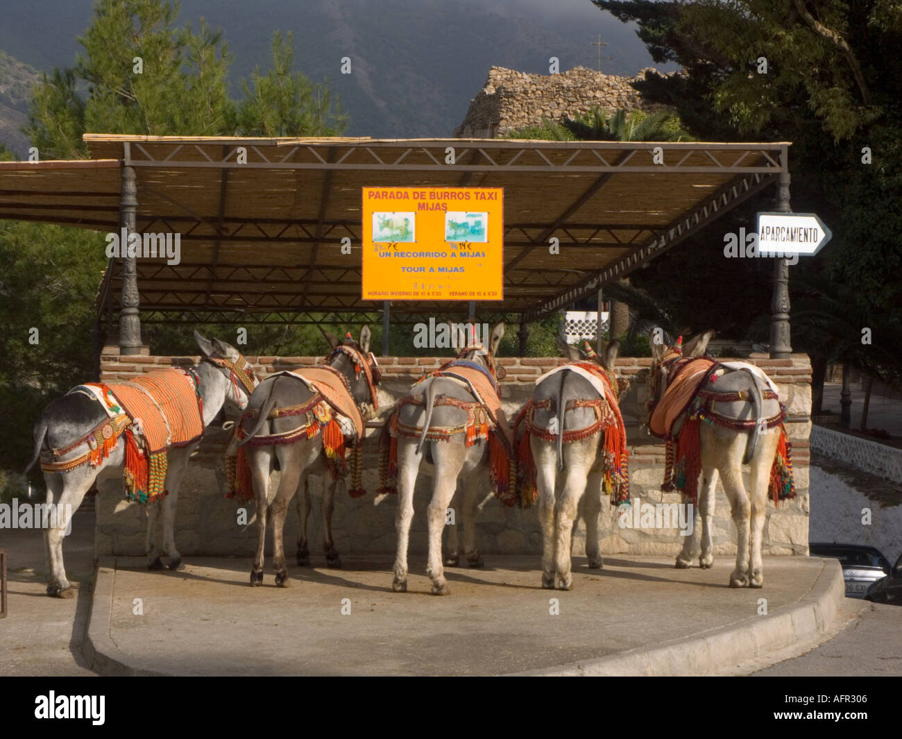 Burro donkey taxies wait in line in Mijas show village pueblo blanco near Malaga Costa del Sol Spain Stock Photo