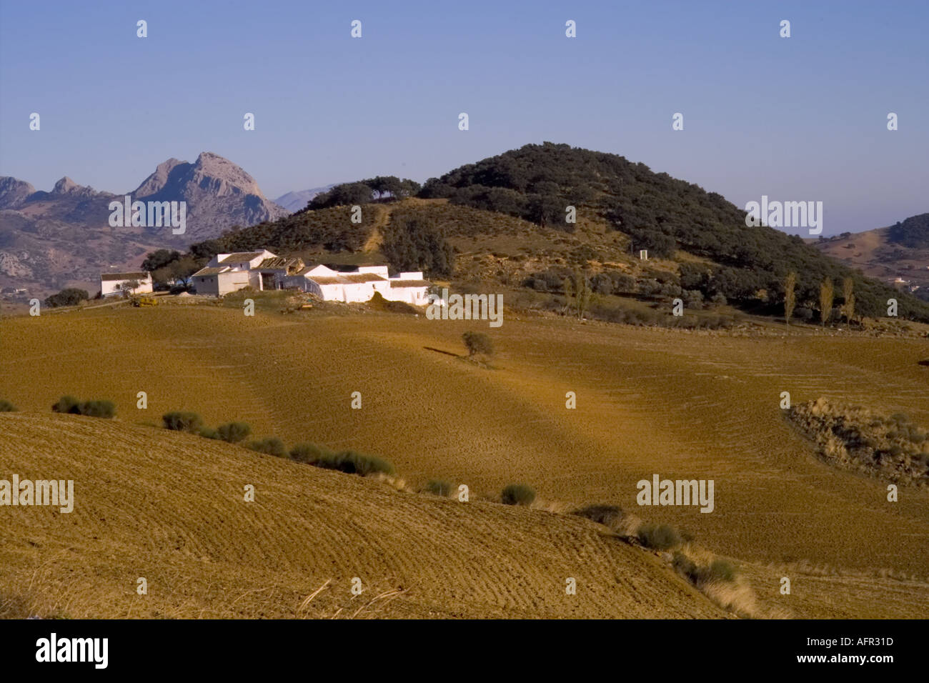 A Spanish cortijo farm estate in the Montes de Malaga Andalucia Spain