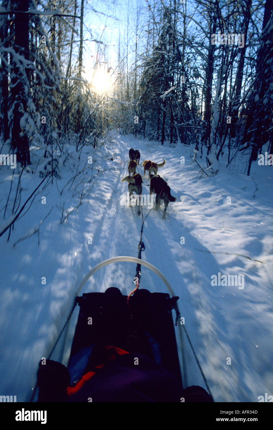 Talkeetna alaska winter hires stock photography and images Alamy