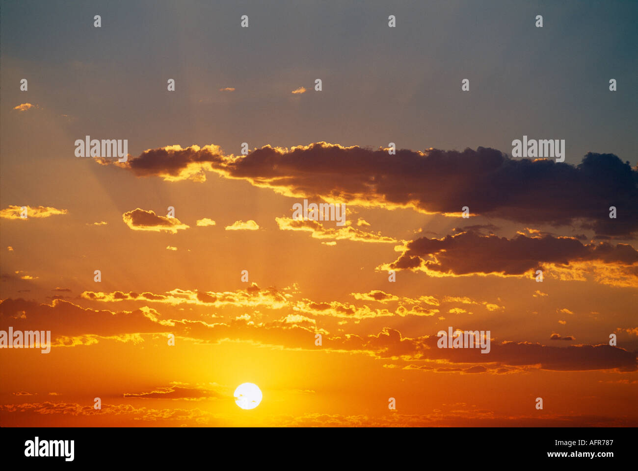 Sunset Etosha National Park Namibia Stock Photo