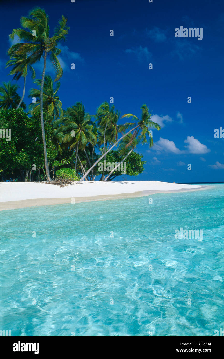 Tropical beach Kuda Bandos South Male Atoll Maldives Stock Photo
