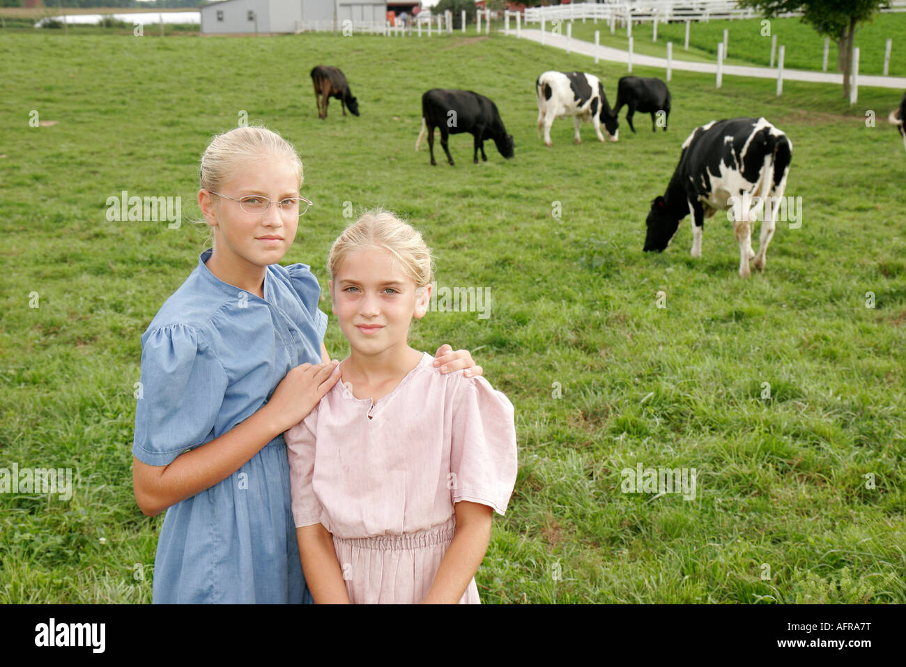 Indiana Shipshewana Amish Farm Tour girls sisters cow pasture Stock