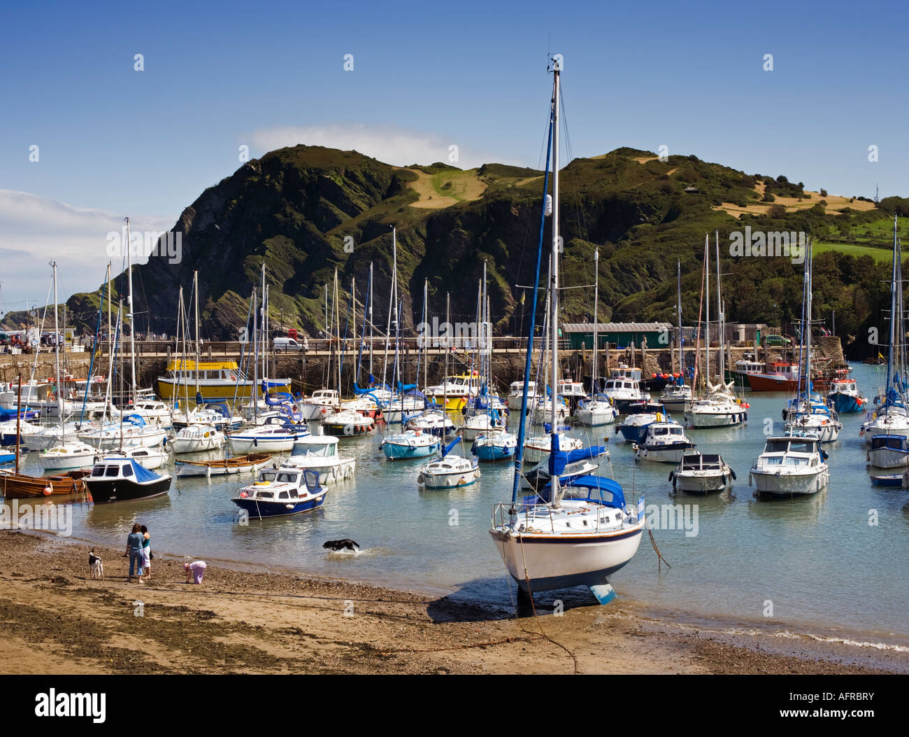 The harbour at Ilfracombe marina and Hillsborough Hill, Devon, UK on the beautiful coast, UK, England in summer Stock Photo