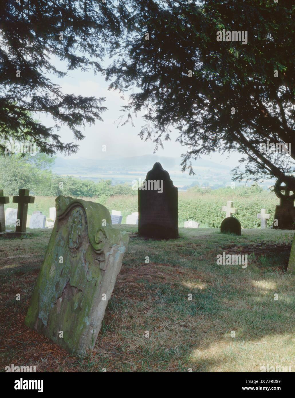 Shropshire graves under shade of a yew tree Stock Photo