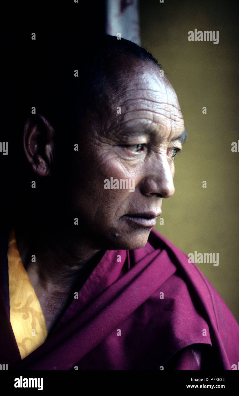 Monk Liker Monastery Ladakh India Stock Photo