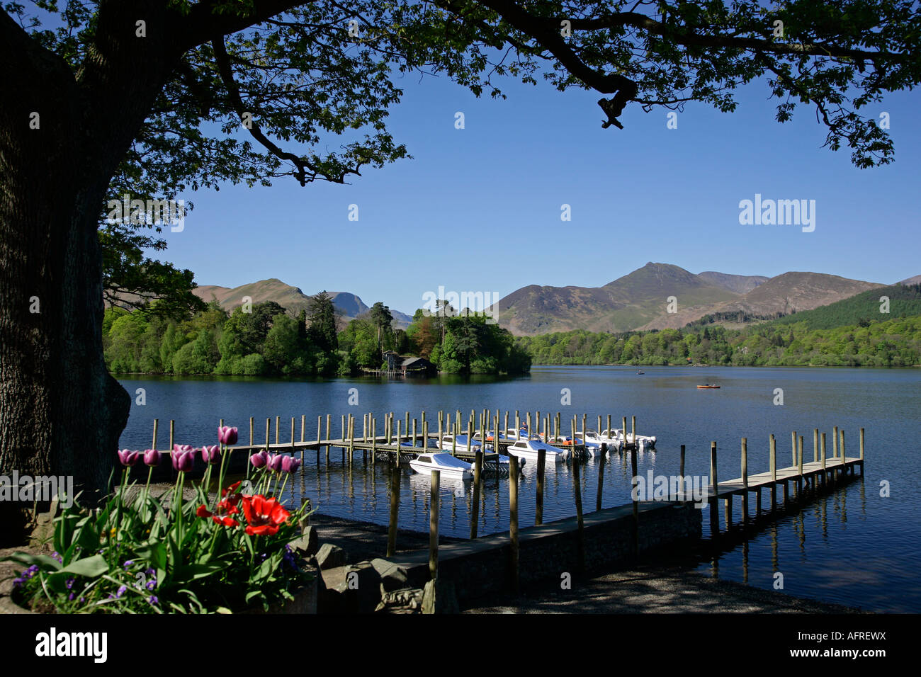 Derwentwater towards Cat Bells & Causey Pike in spring early morning Stock Photo
