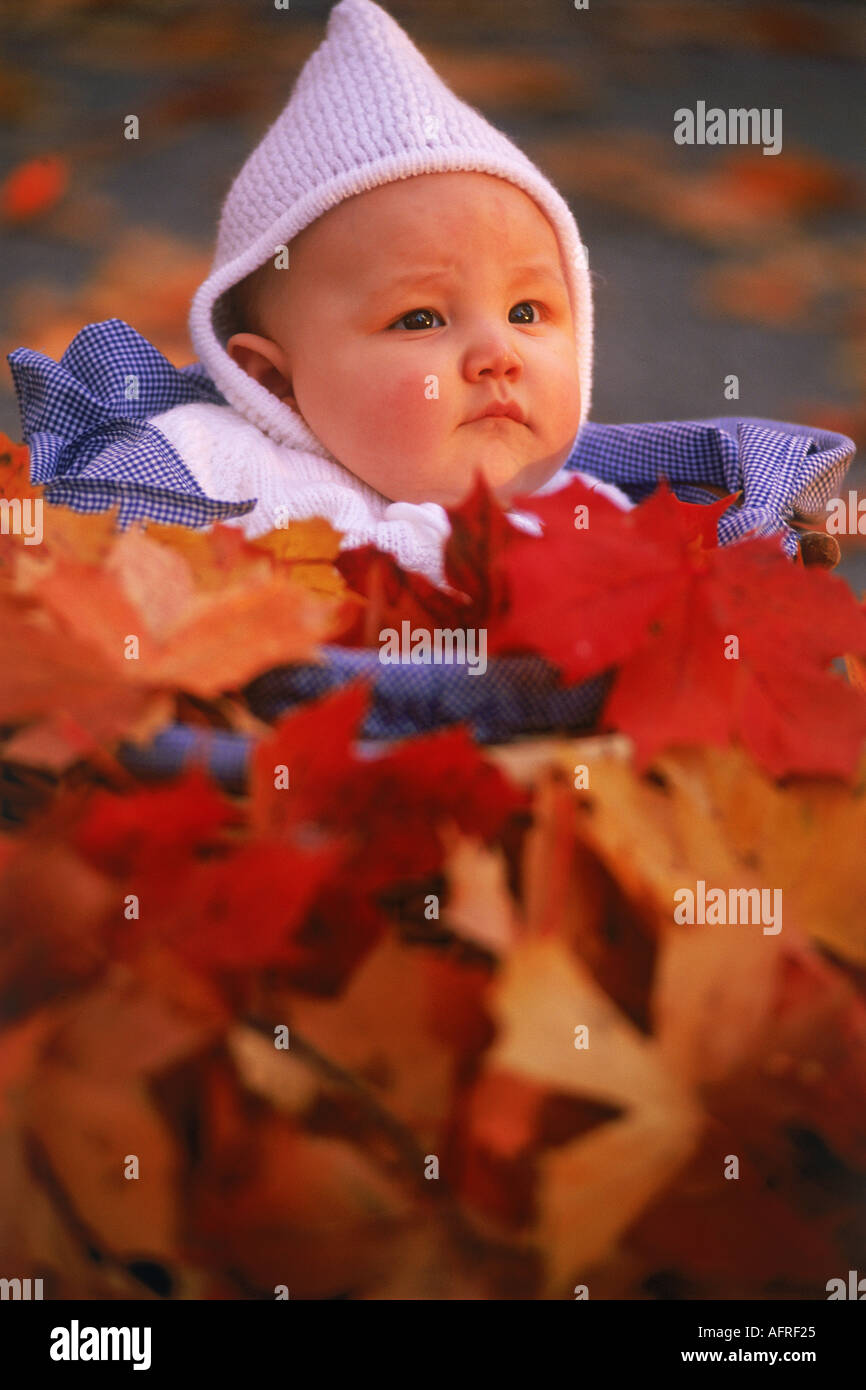 Baby in basket amid fallen autumn leaves Stock Photo