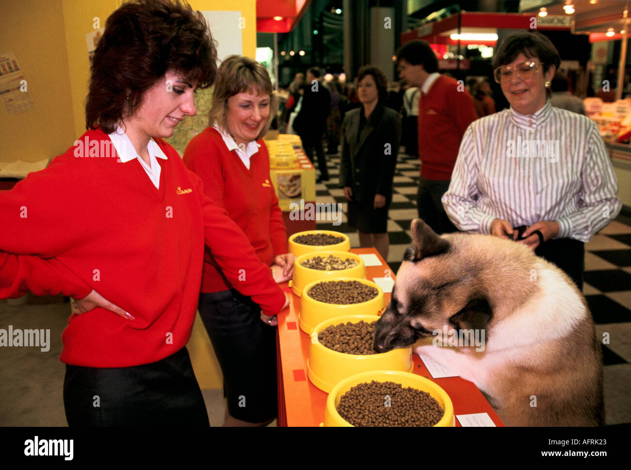 pet-food-samples-dog-trying-different-bowls-of-food-promotion-at