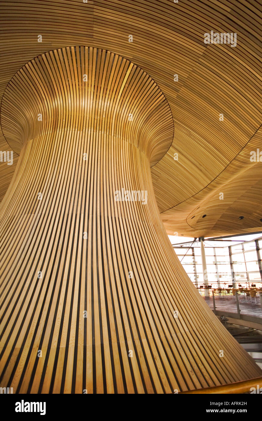 Cedar Clad Ceiling And Light Lantern In The National Assembly For