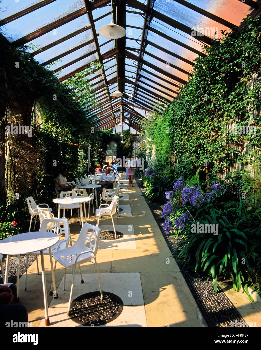 Loggia Tearoom, Somerleyton Hall, Suffolk, England, United Kingdom Stock Photo