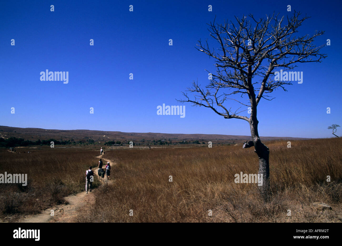 Trekkers at Anjaha Reserve, Madagascar Stock Photo