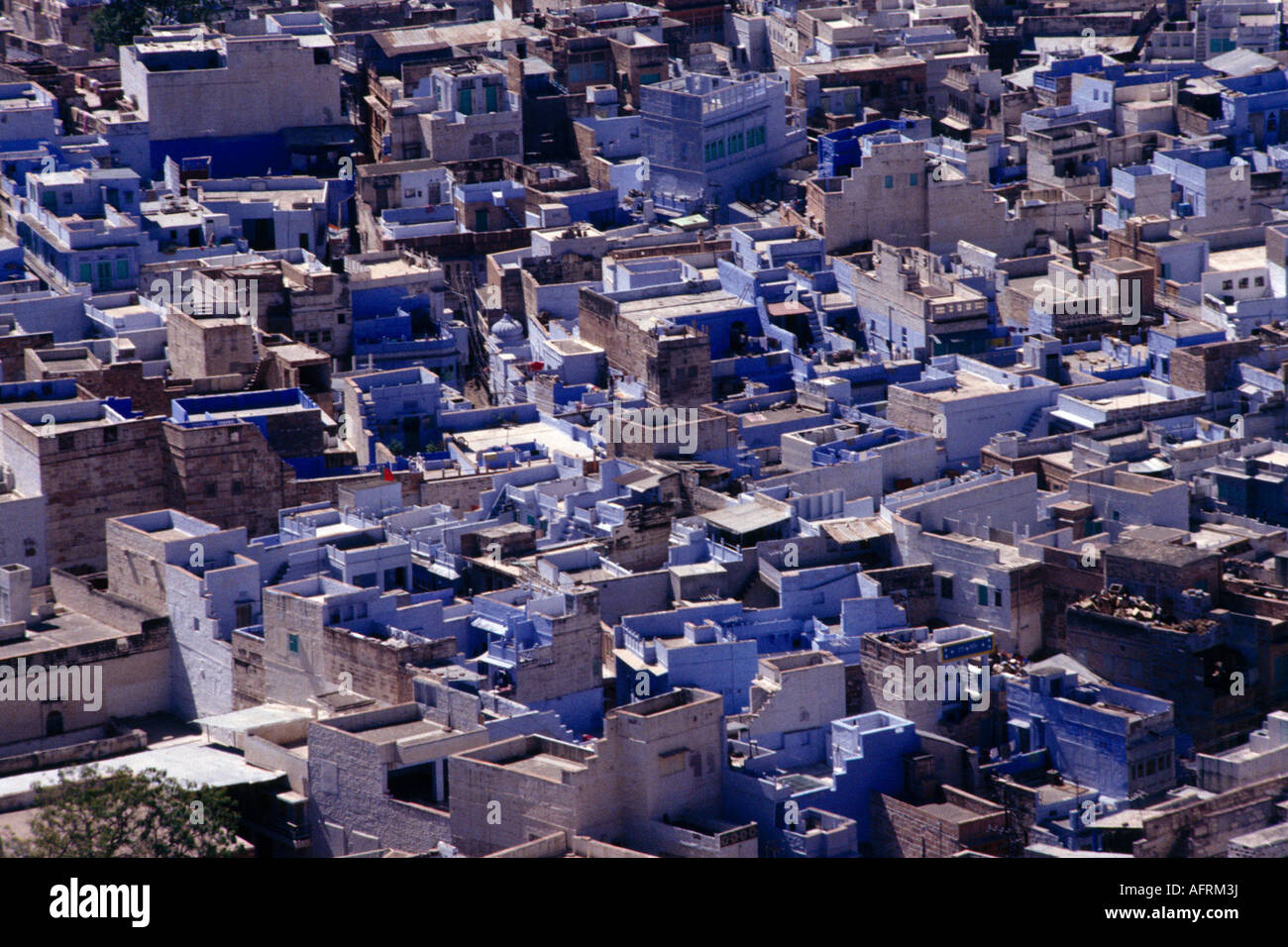Jodhpur India Blue Houses Stock Photo