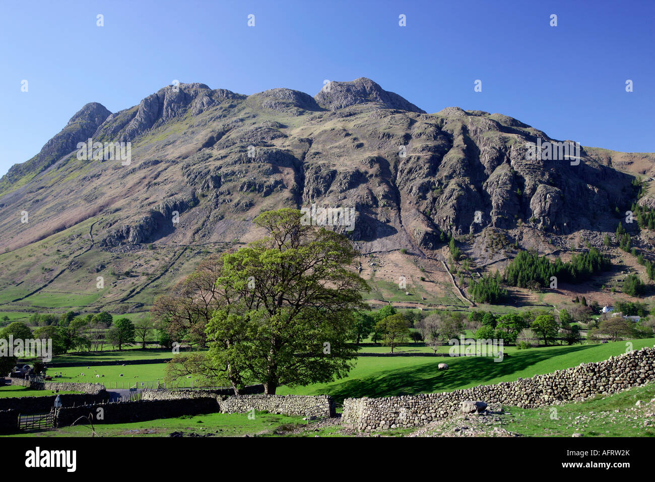 View towards the Langdale Pikes, Lake district, Cumbria, England Stock Photo