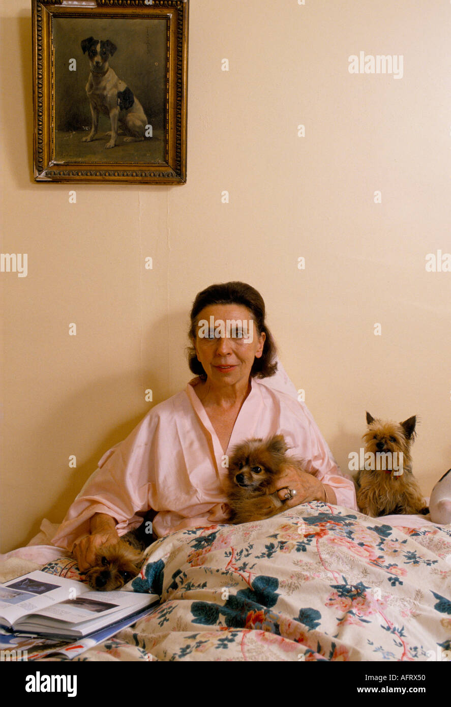 Her Serene Highness Elisabeth de Croy, with her many dogs at home in France 1990s. She founded the Refuge de Thiernay animal welfare HOMER SYKES Stock Photo