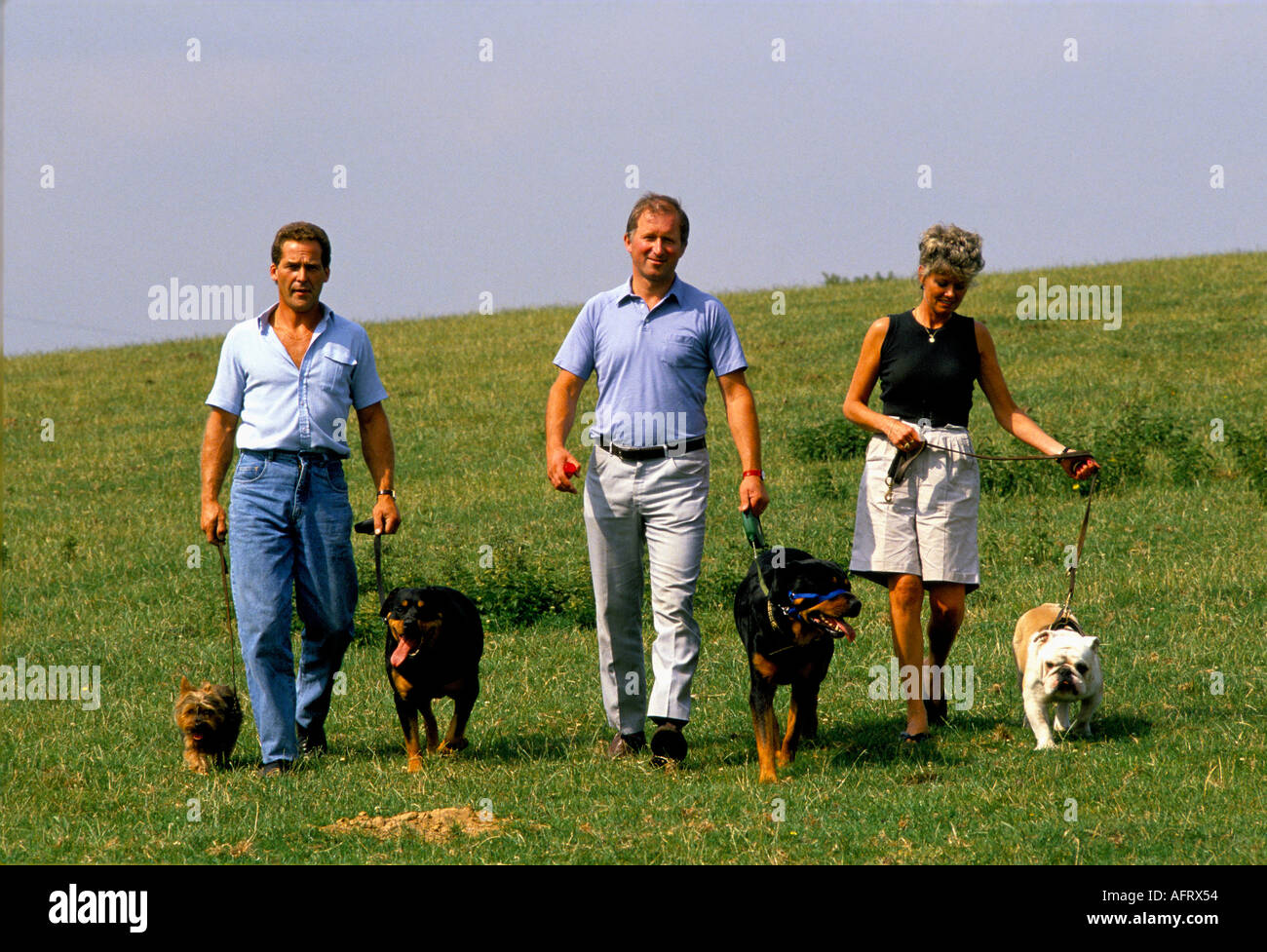 Dr Roger Mugford is a dog psychologist out walking with dogs owners. 1990s UK England HOMER SYKES Stock Photo