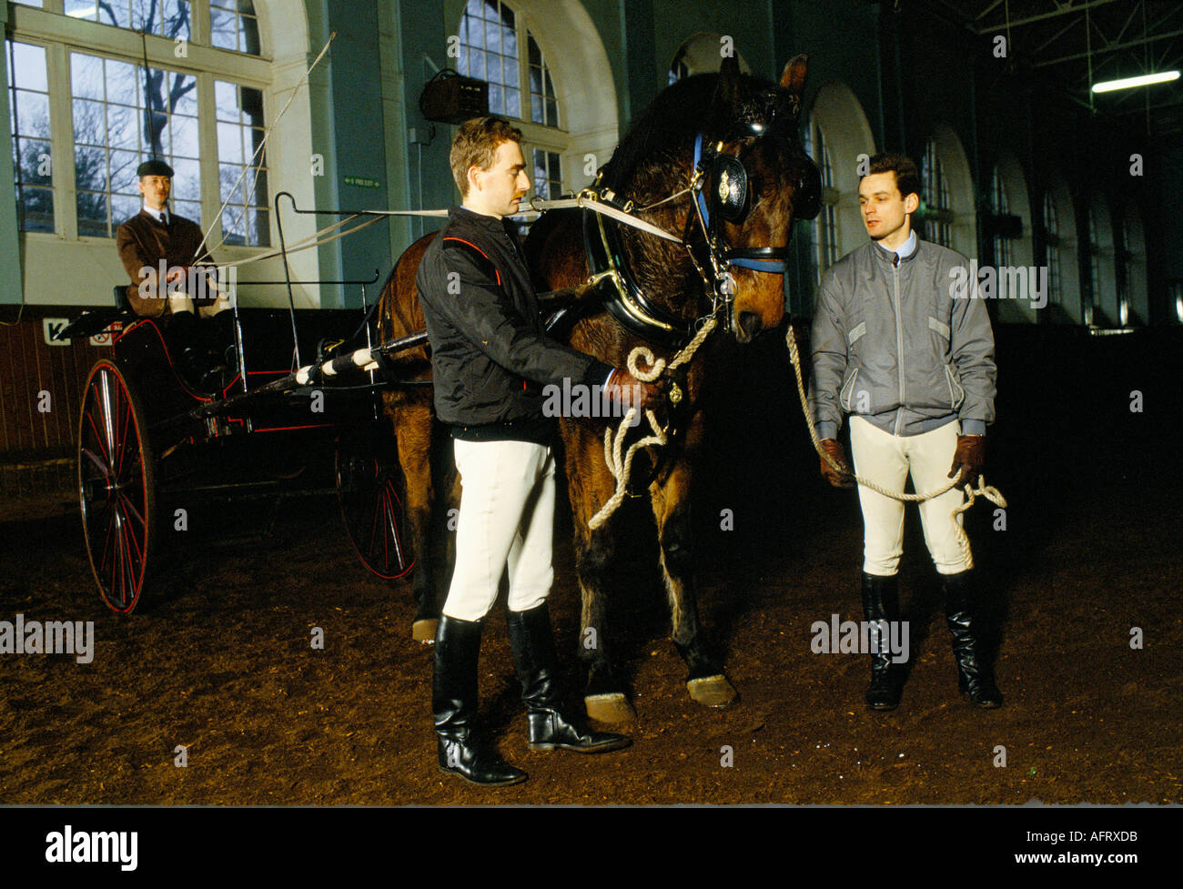 TRAINING HORSES WITH CARRIAGE THE ROYAL MEWS BUCKINGHAM PALACE HOMER