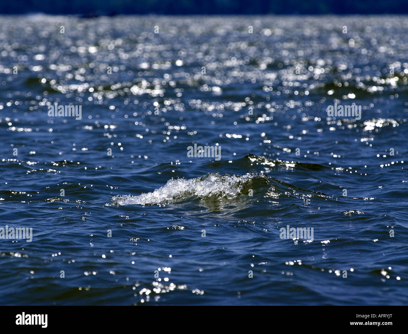 Waves ripple across windswept blue lake Big Pine Lake Ottertail County