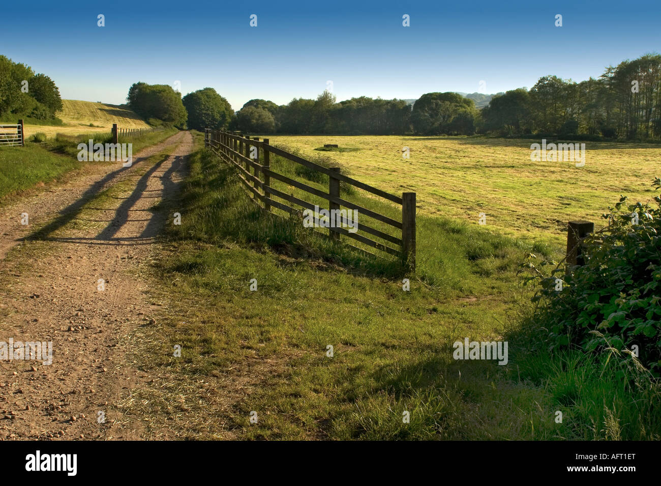 Country scene in the Otter Valley, Devon Stock Photo - Alamy