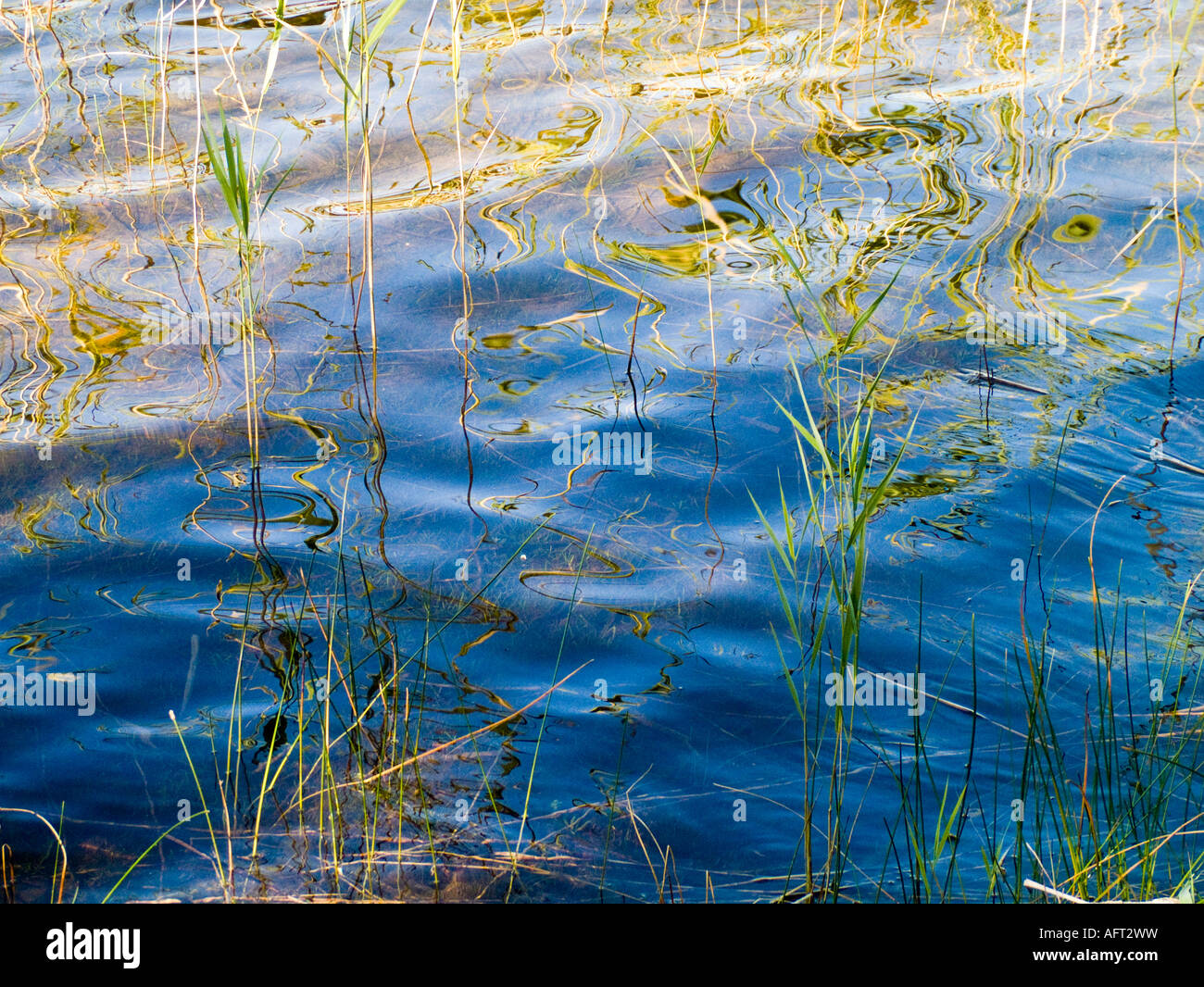 Ripples and reflections on water surface at edge of lake in southern ...