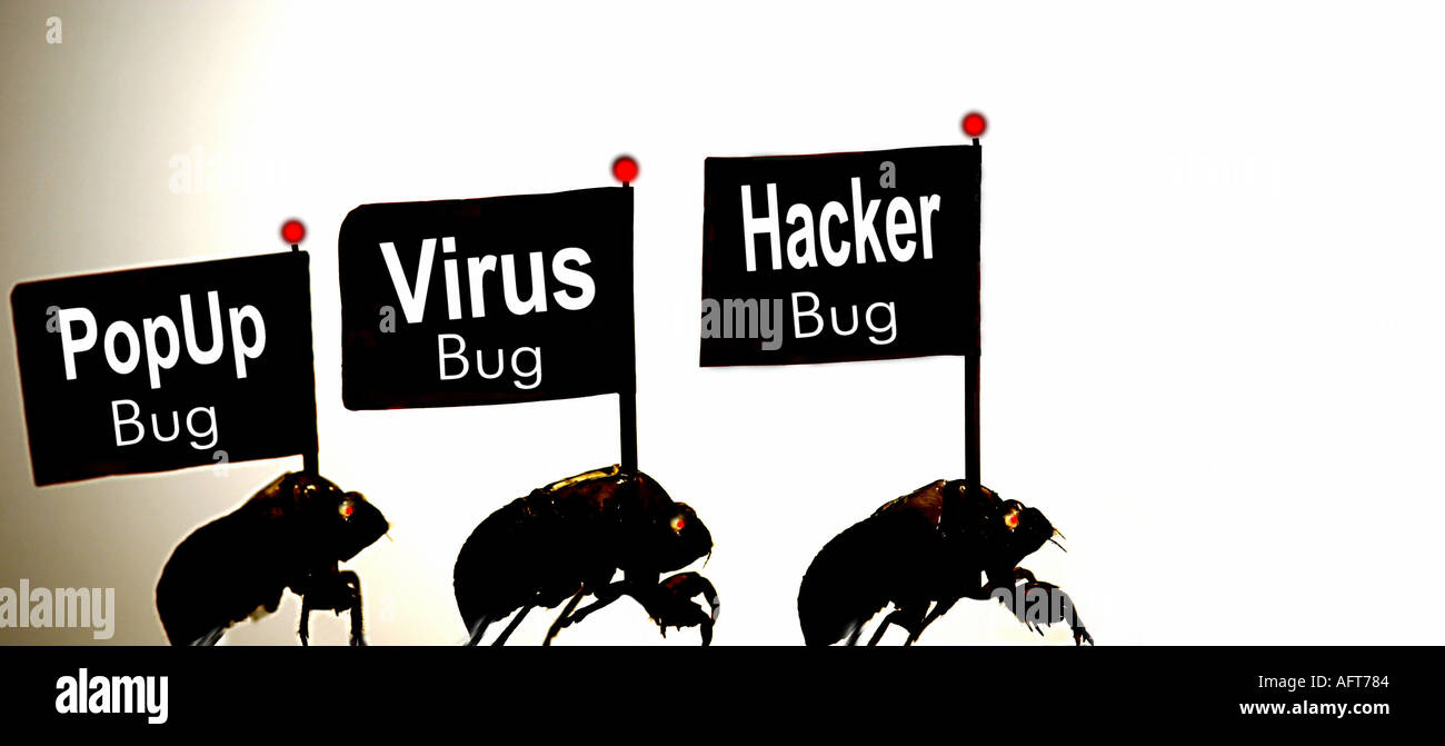 Computer Virus Computer Bugs Infection Infestation  Stock Photo