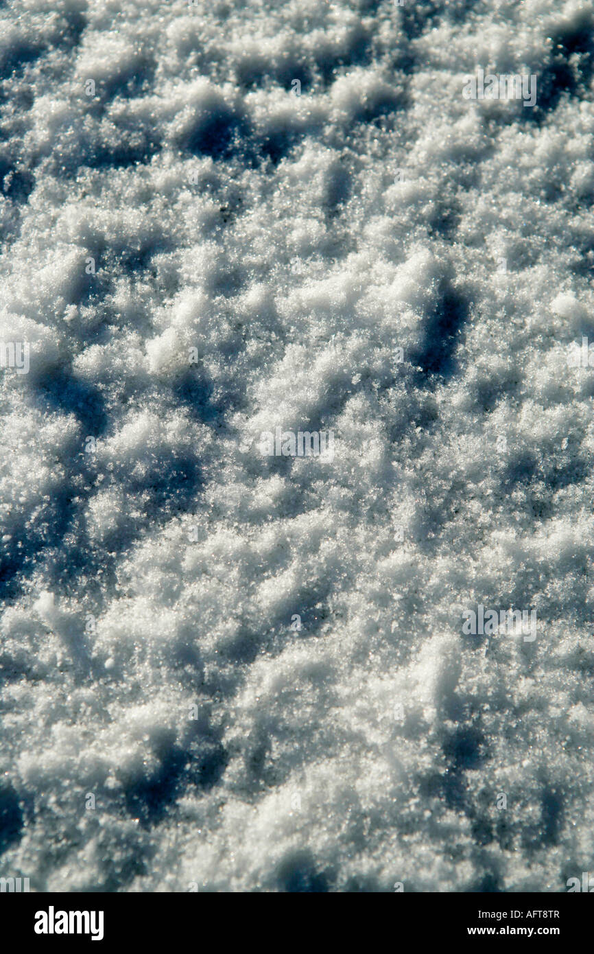 Fresh Snow Close Up Stock Photo - Alamy