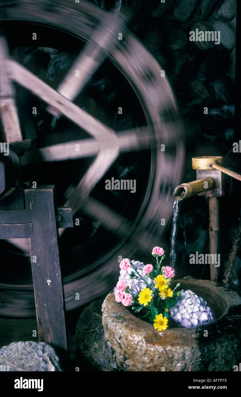 Japan Kyoto Flowers by waterwheel in Japanese garden Stock Photo Alamy