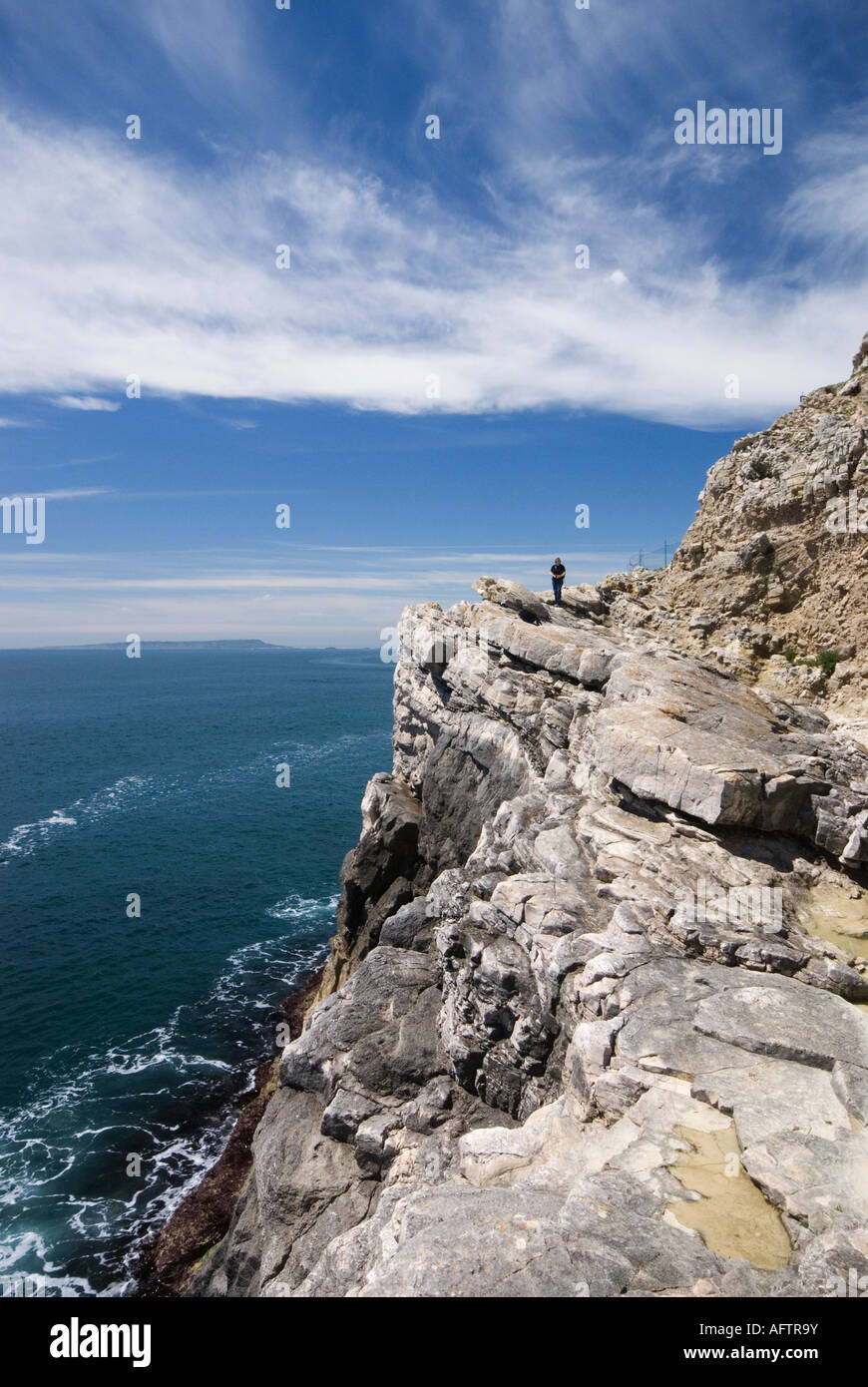 The fossil forest near Lulworth Cove, Dorset, UK Stock Photo Alamy