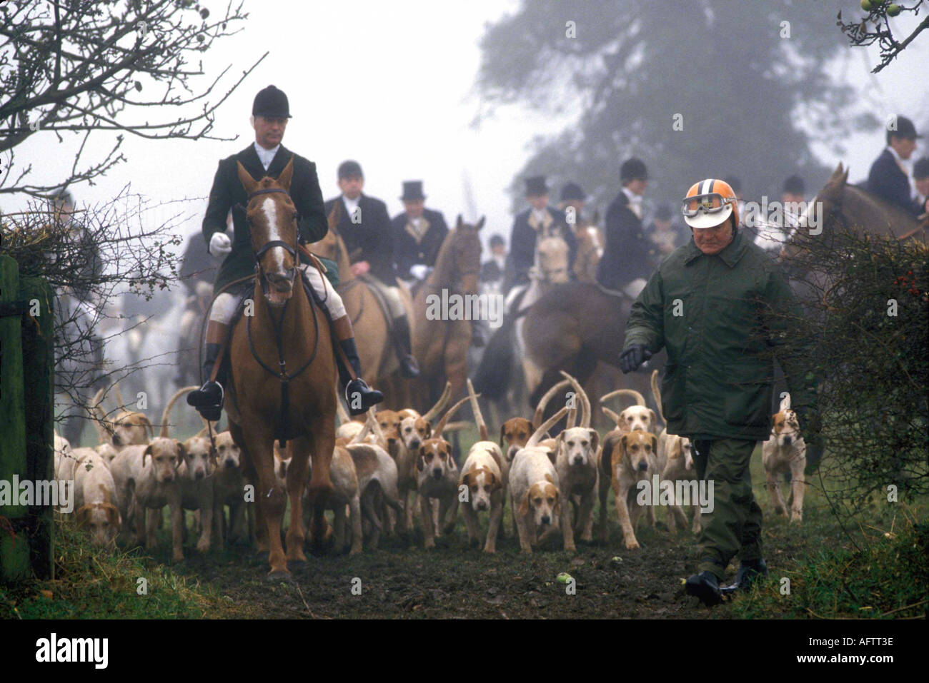 Hunting with hounds "Duke of Beaufort Hunt" move off  Hunt Staff Servants wear green, foot follow Badminton Gloucestershire UK 980s 1985. HOMER SYKES Stock Photo