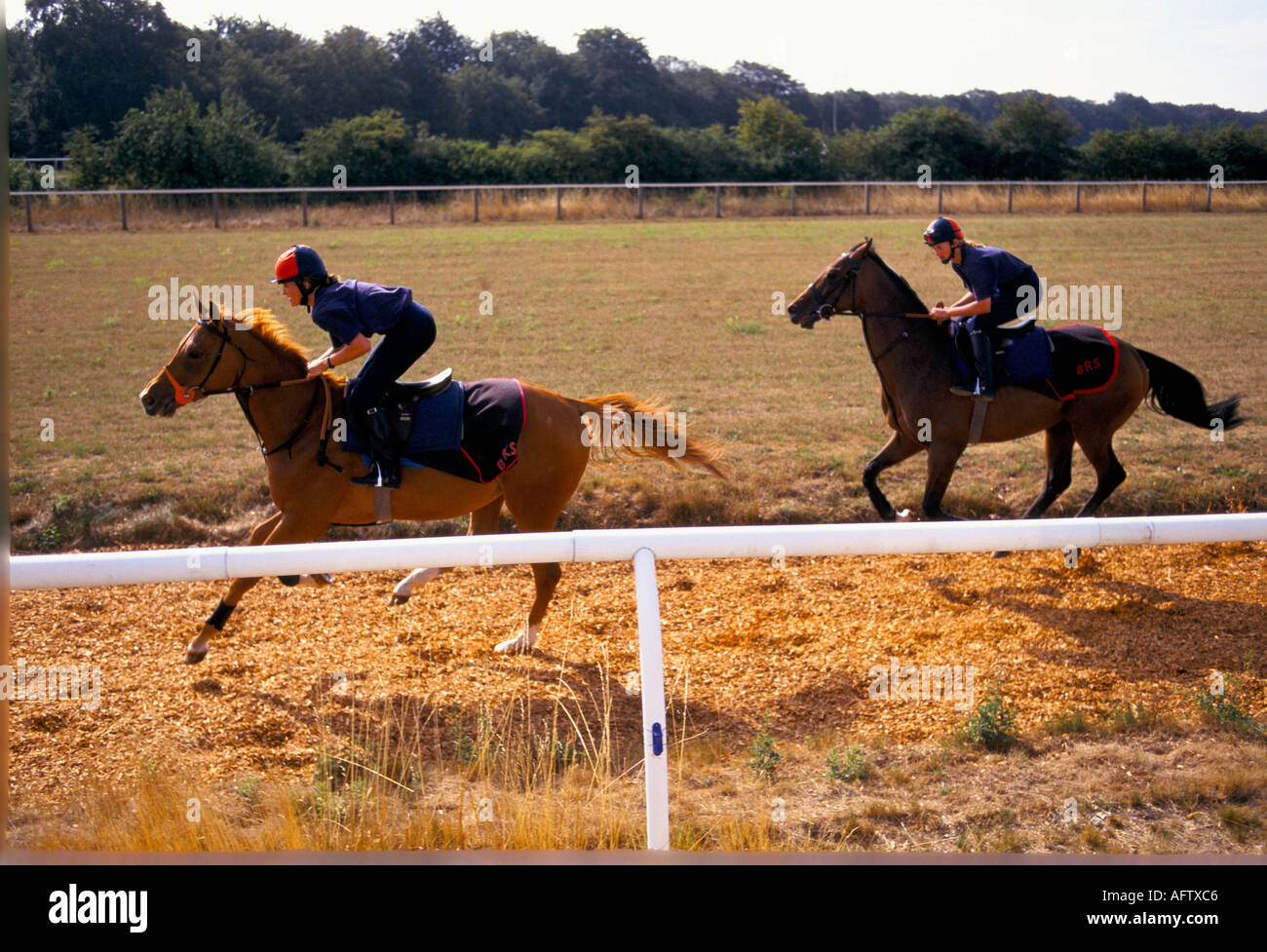 Female jockey from the British Horse Racing School ride race horses on Warren Hill Gallops on Newmarket Heath Suffolk. 1993 1990s UK HOMER SYKES Stock Photo
