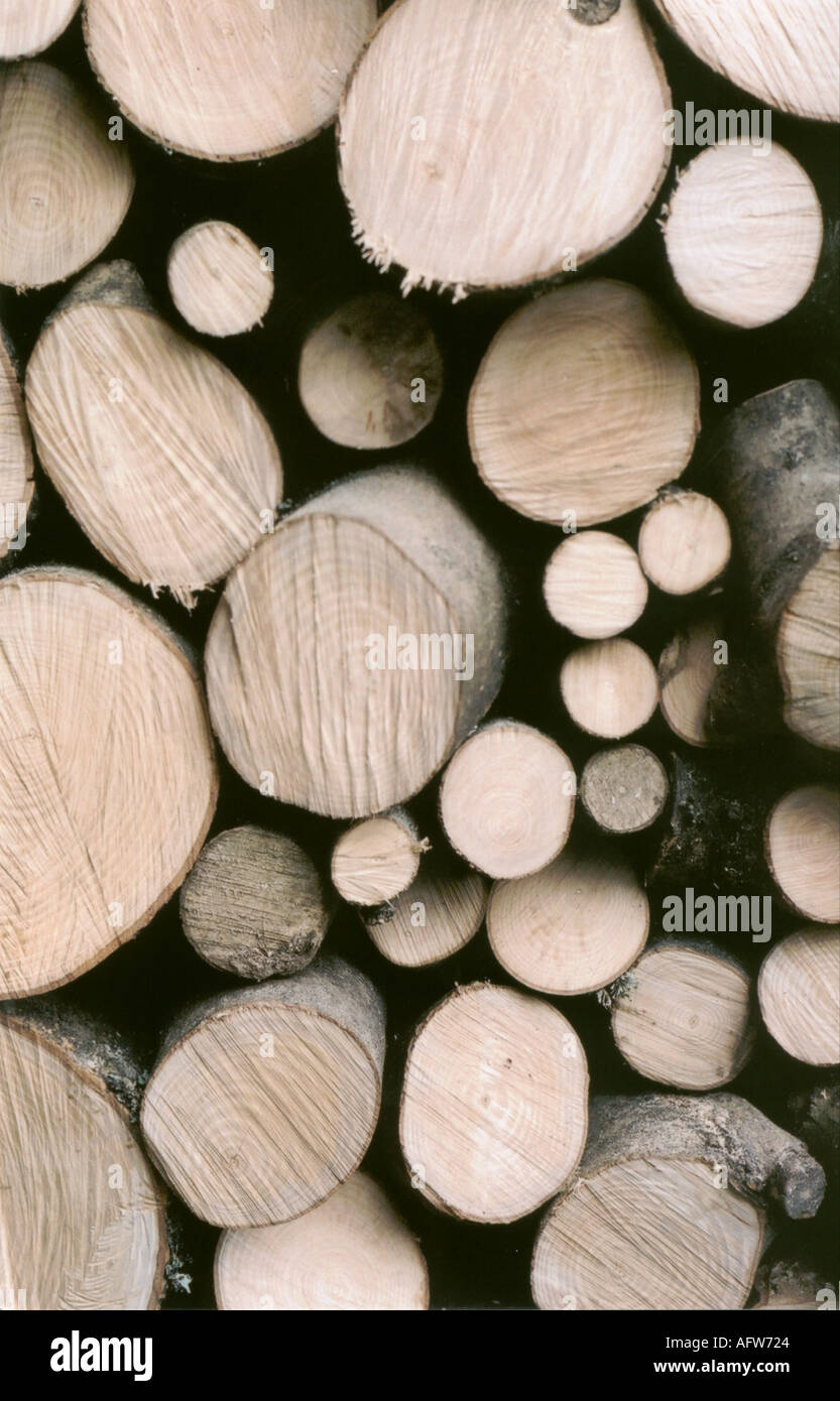 Freshly cut logs in pile drying out for wood burning stove Stock Photo