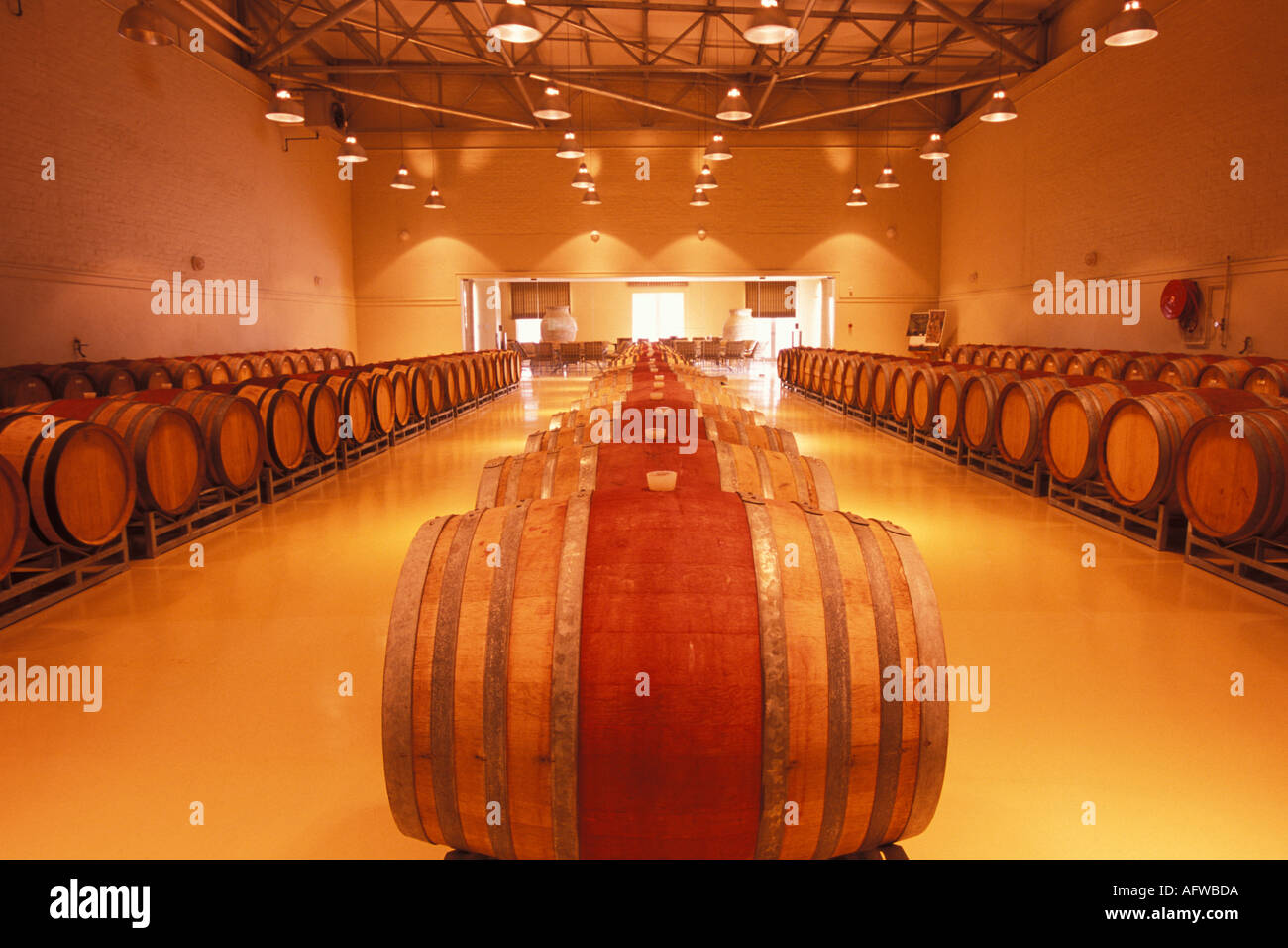 South Africa, Helderberg, Barrel cellar, Wine Estate Stock