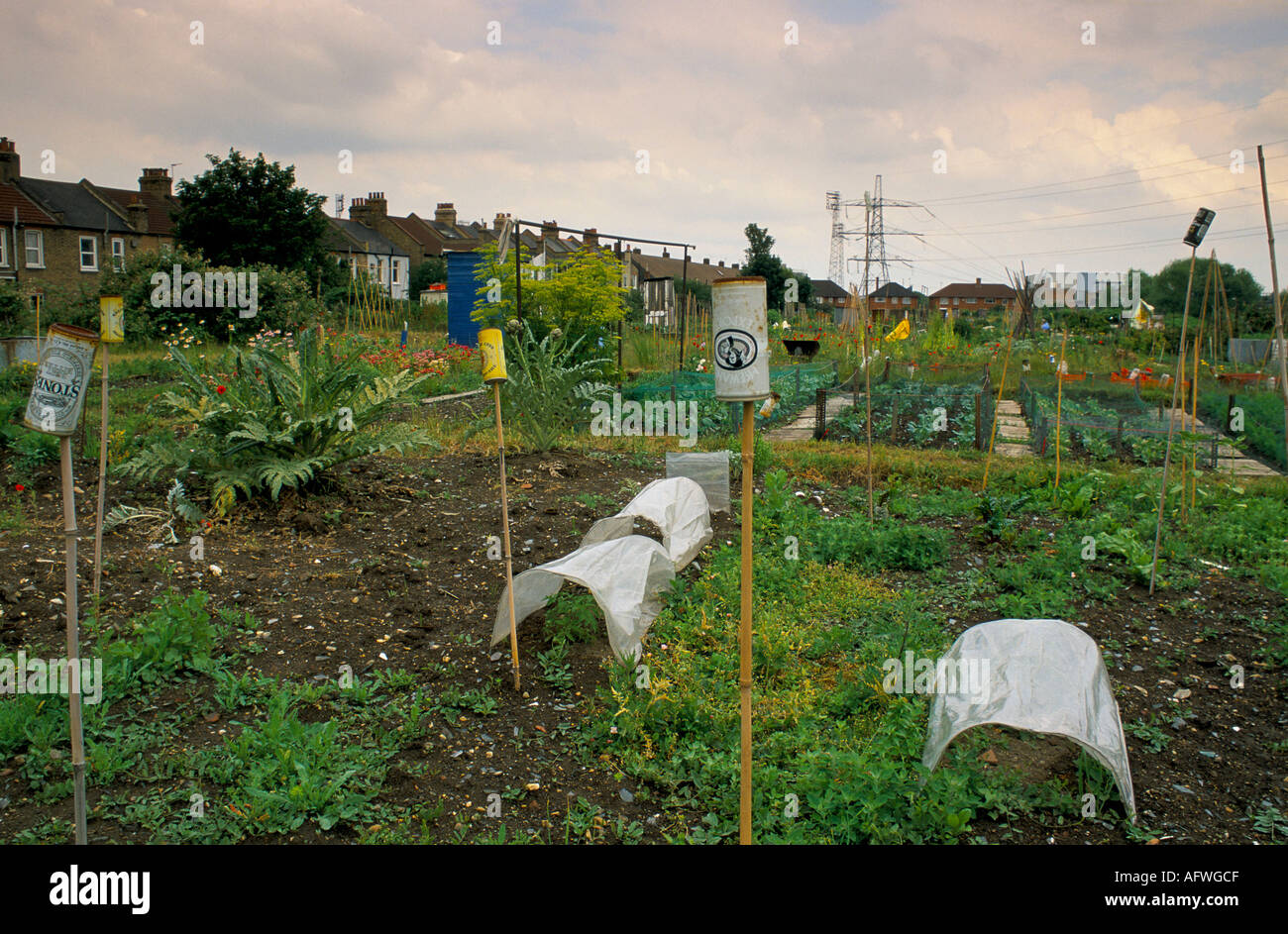 Allotment south London England United Kingdom Stock Photo
