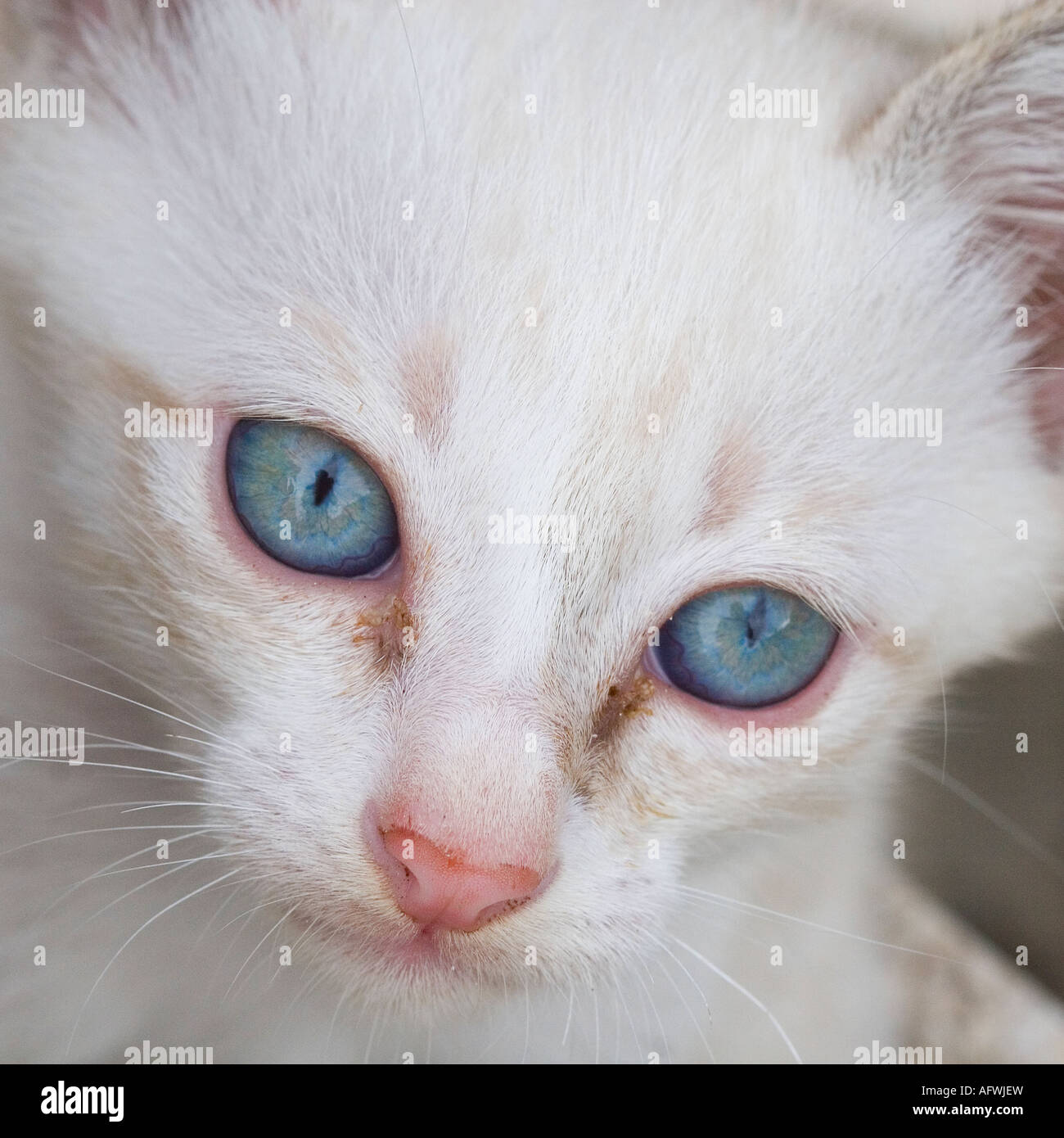My Image 21
