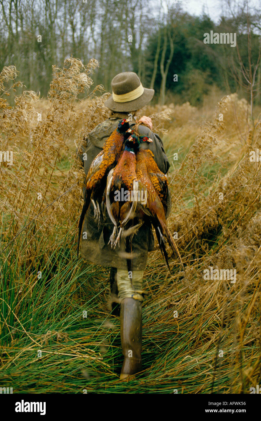 woman-pheasants-hi-res-stock-photography-and-images-alamy