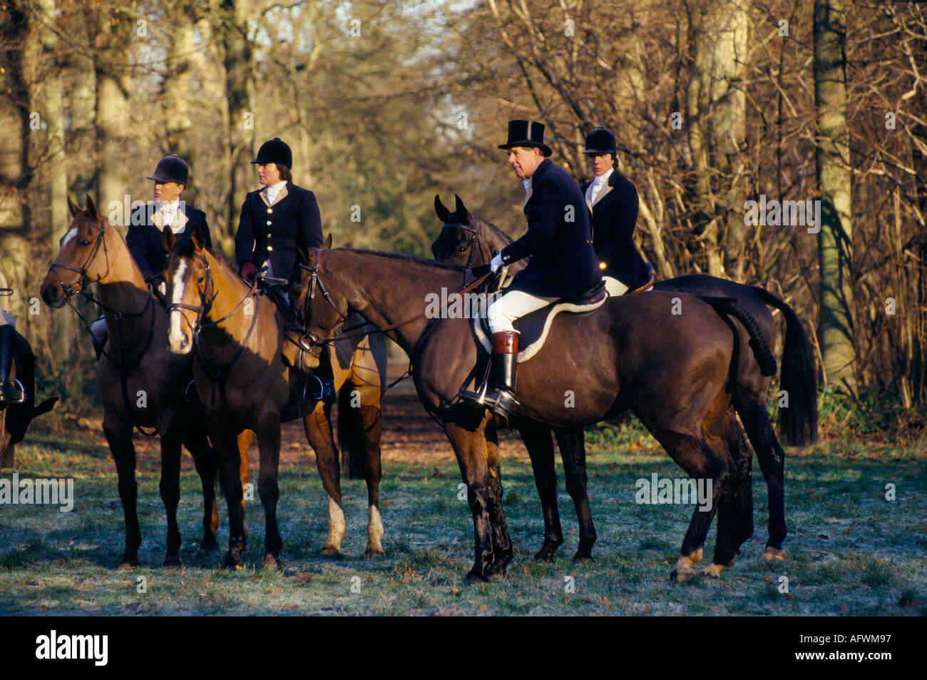 Duke of Beaufort Hunt Badminton Gloucestershire Group of women wearing traditional Blue and Buff top coats riding hat man in top hat 1980s HOMER SYKES Stock Photo