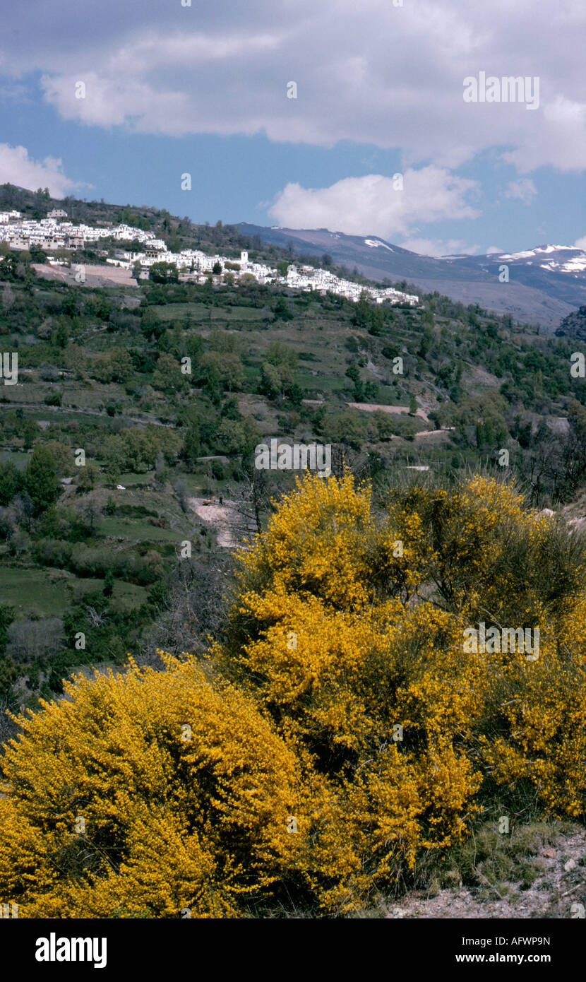 The spectacular village of Berchules typical of villages in the Alpujarras Stock Photo