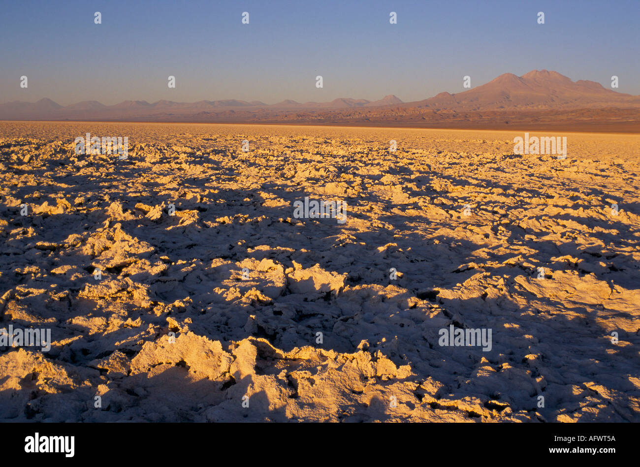 atacama-desert-chile-south-america-the-salar-de-atacama-the-largest