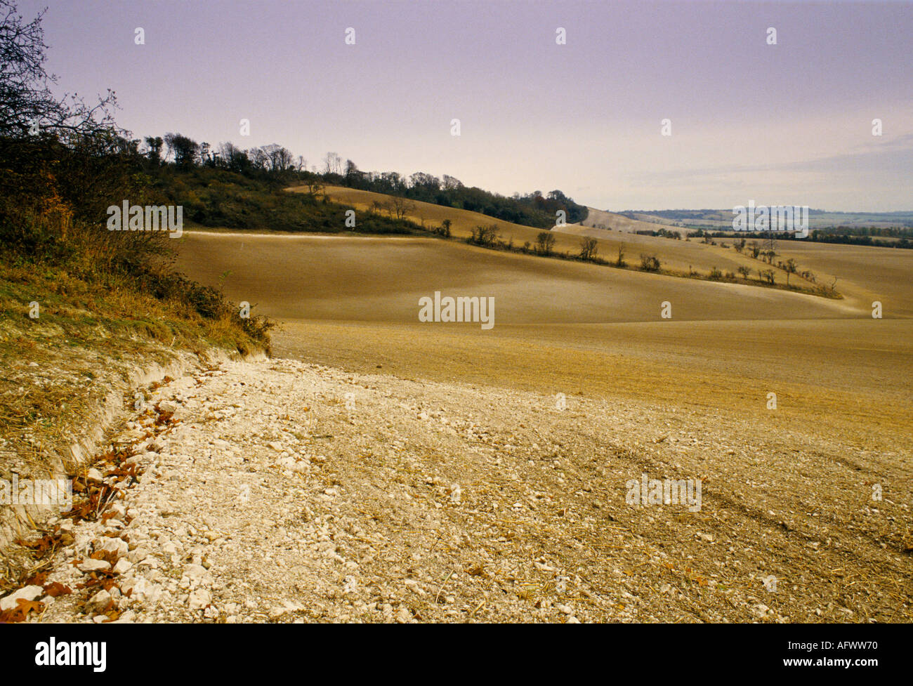 No hedges huge large fields prairie farming East Sussex England Grubbed out hedges 1992, 1990s, UK HOMER SYKES Stock Photo