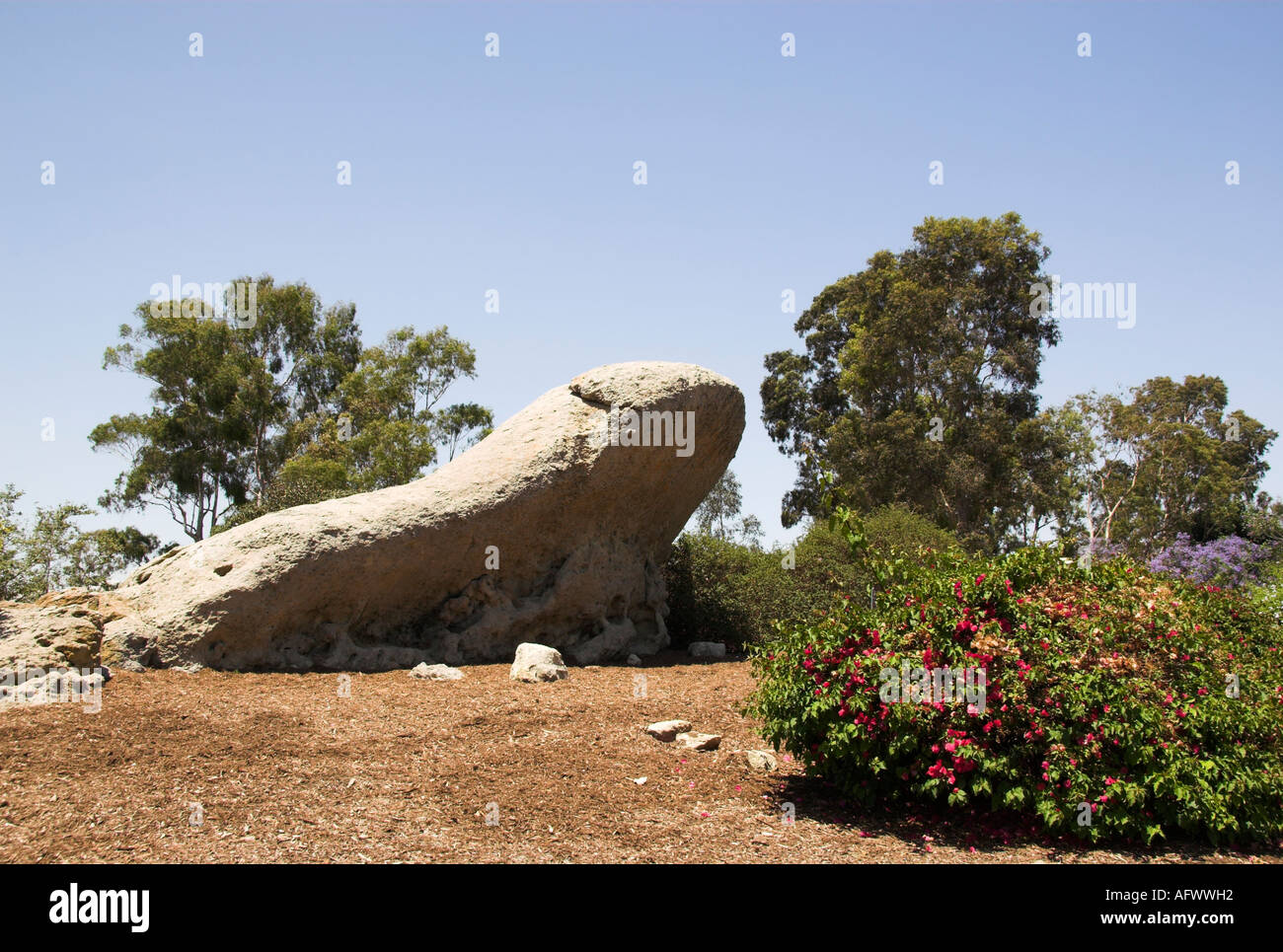 Turtle Rock Canyon Irvine