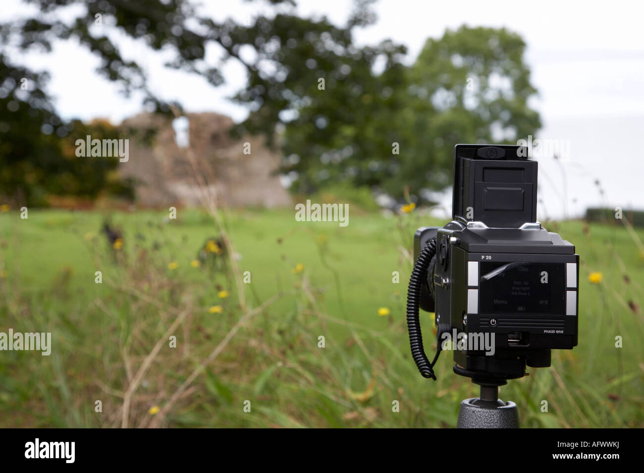 Hassleblad camera with phase one digital back set up on tripod head to