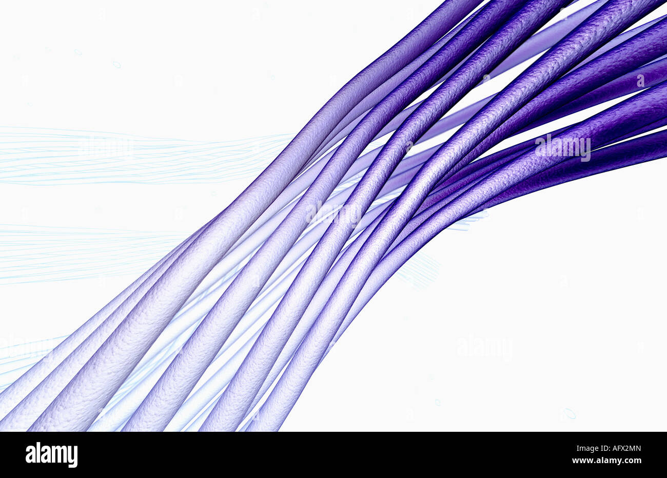 Microscopic fibres hi-res stock photography and images - Alamy