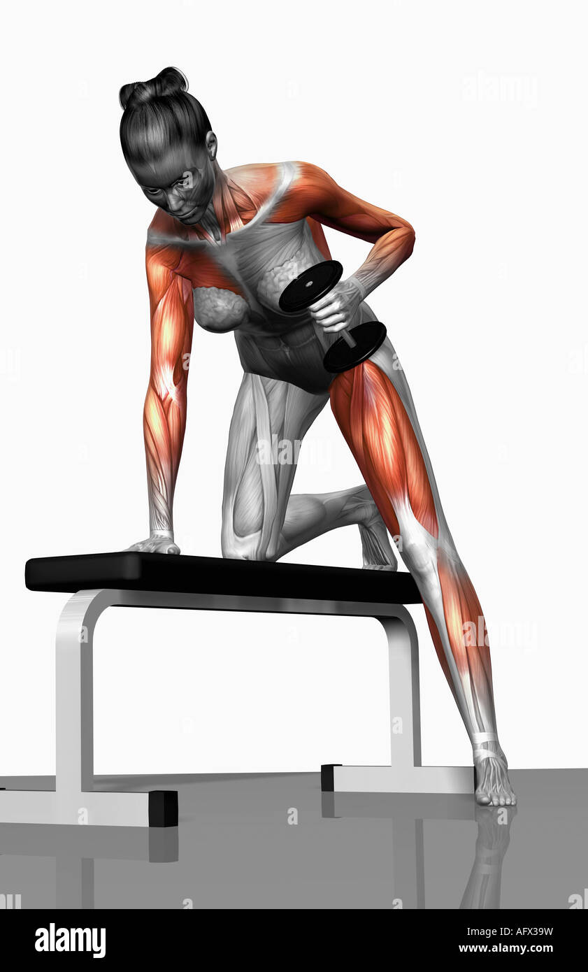 Dumbbell kickback exercise (Part 2 of 2 Stock Photo Alamy