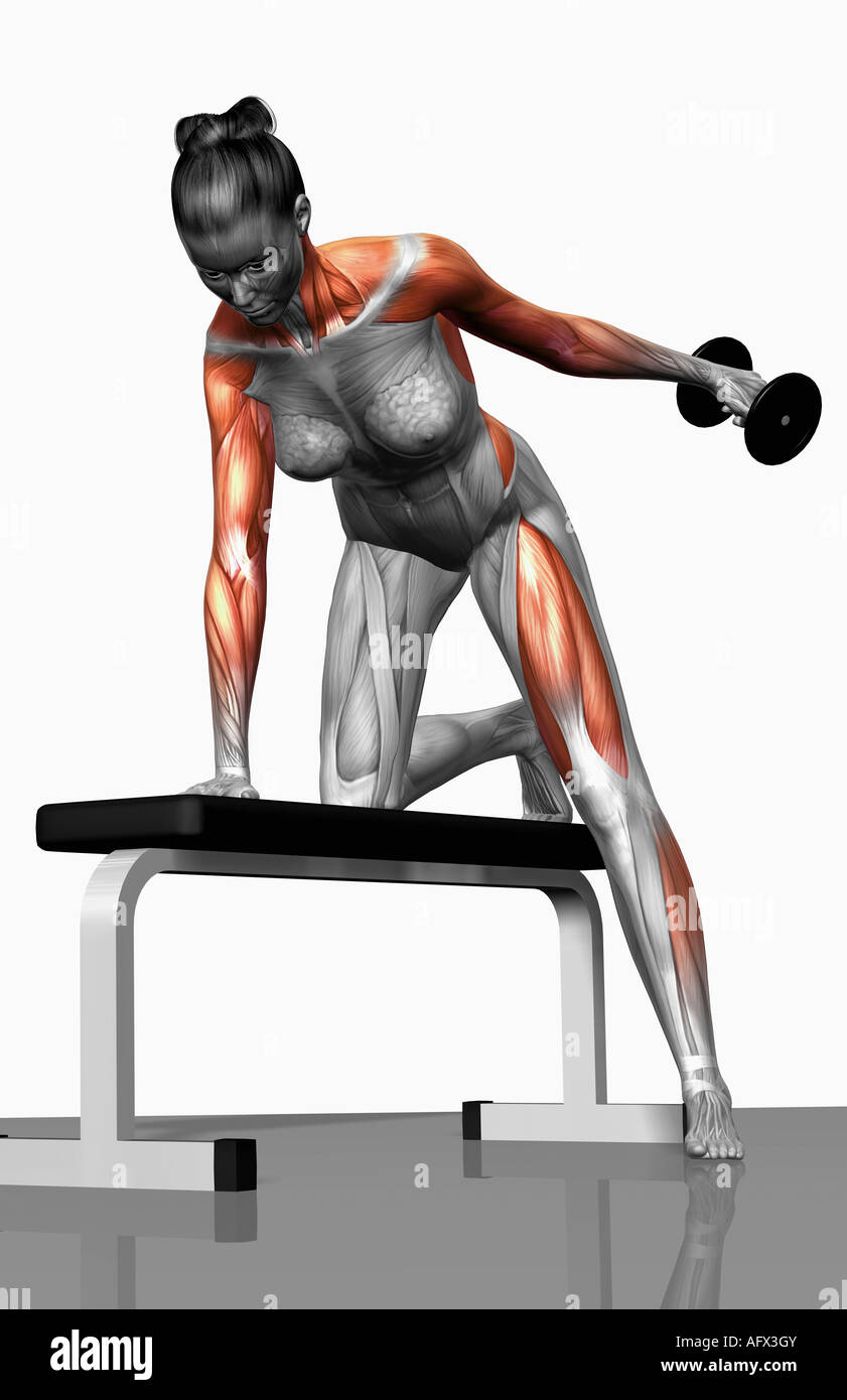 Dumbbell kickback exercise (Part 1 of 2 Stock Photo Alamy