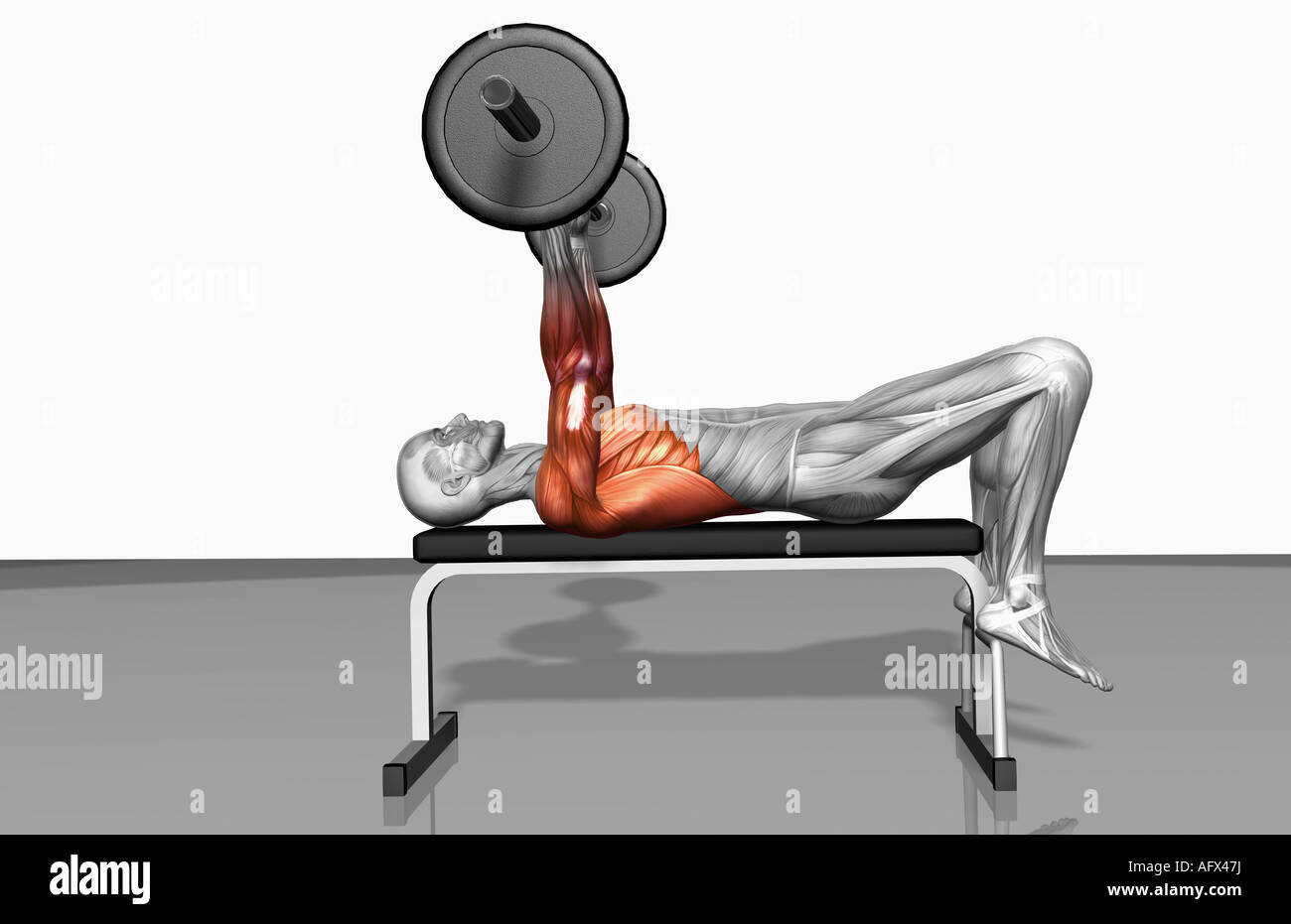 Overhead barbell triceps extension (Part 1 of 2 Stock Photo - Alamy