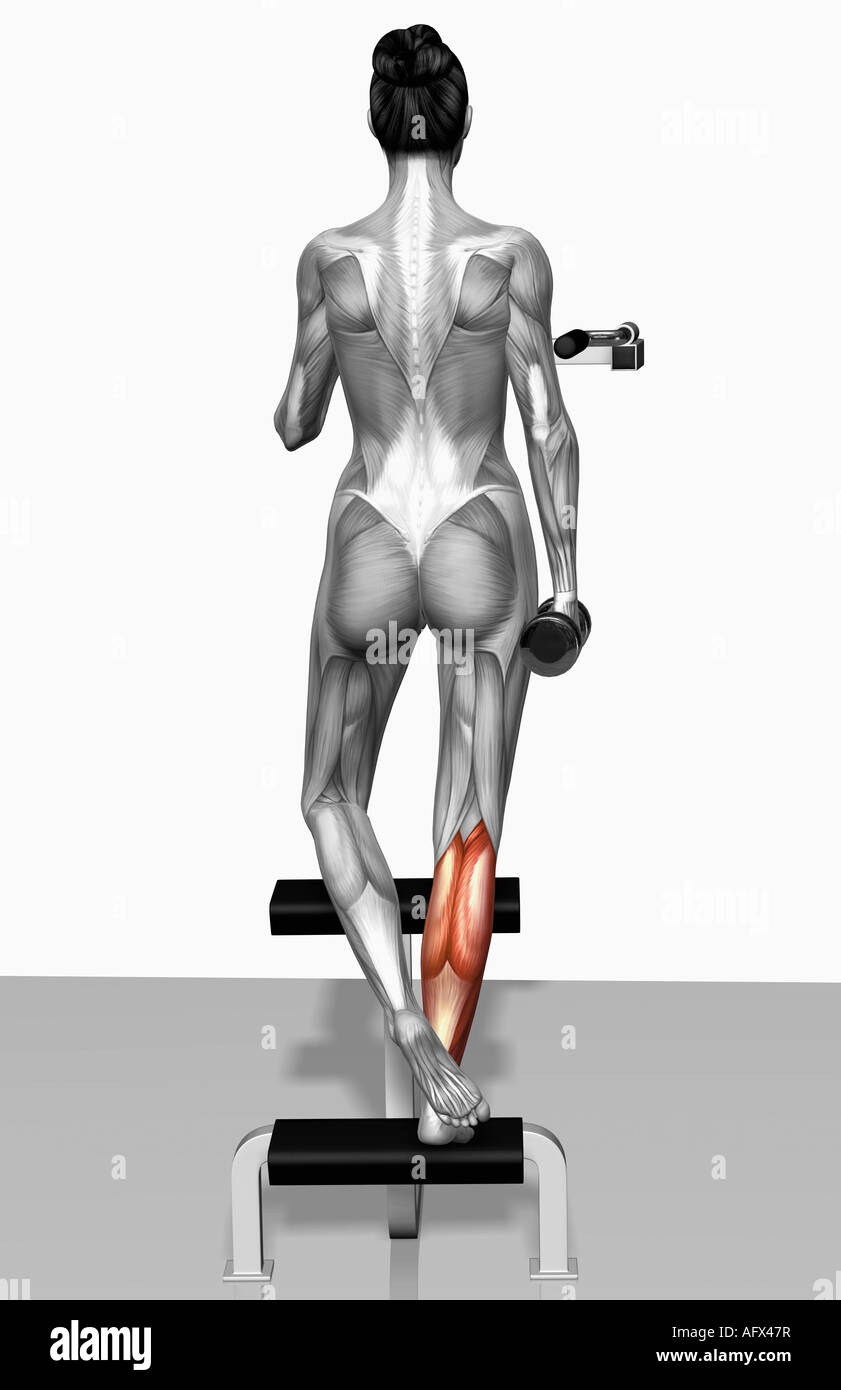 Dumbbell single leg calf raise Stock Photo Alamy