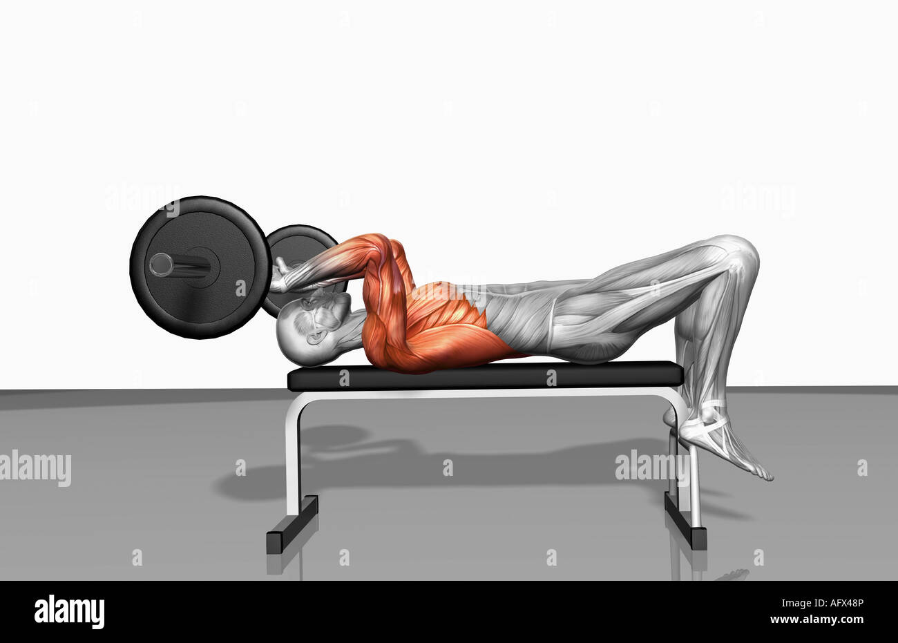 Overhead barbell triceps extension (Part 2 of 2 Stock Photo - Alamy
