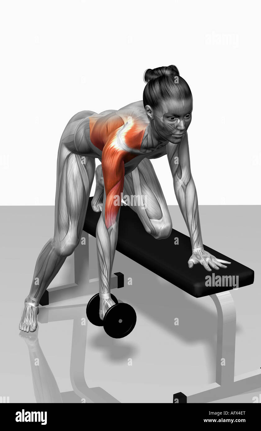 One arm dumbbell row (Part 2 of 2 Stock Photo - Alamy