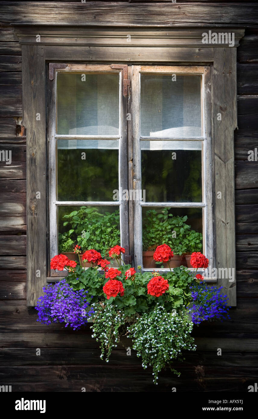 A window of an old house with flowers Stock Photo - Alamy